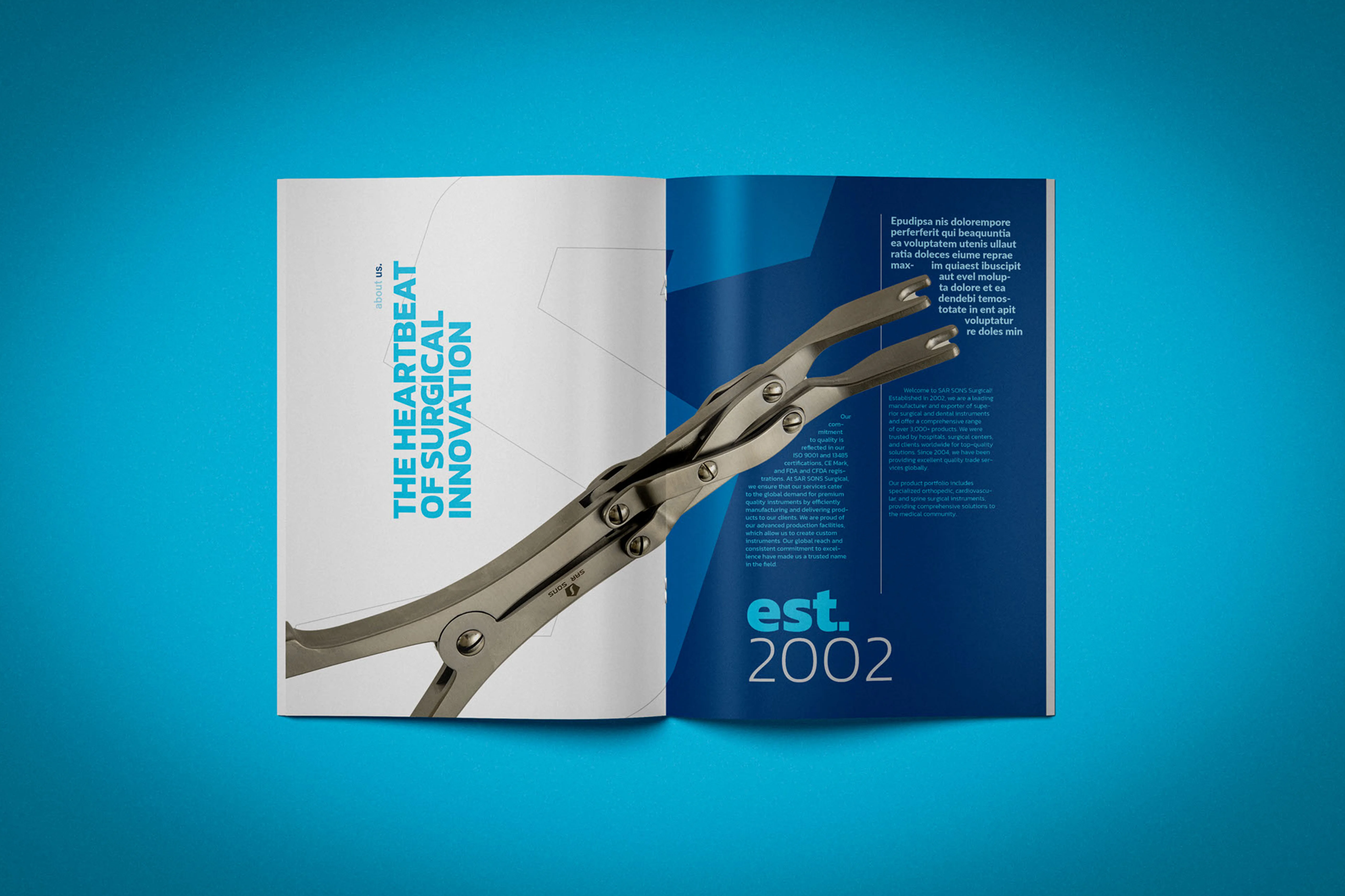 Sarsons | Company Profile & Brochure
