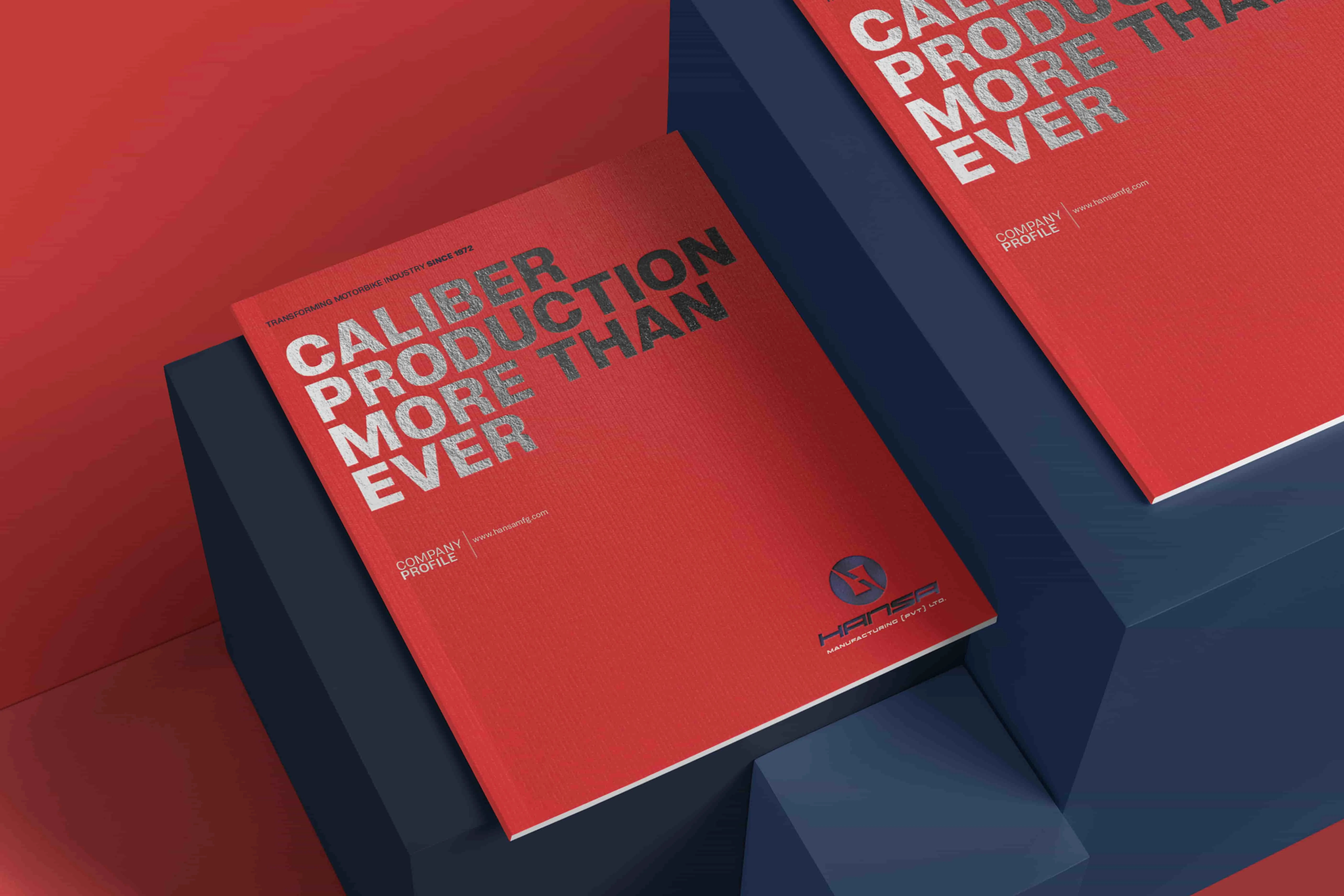Hansa | Company Profile and Brochure