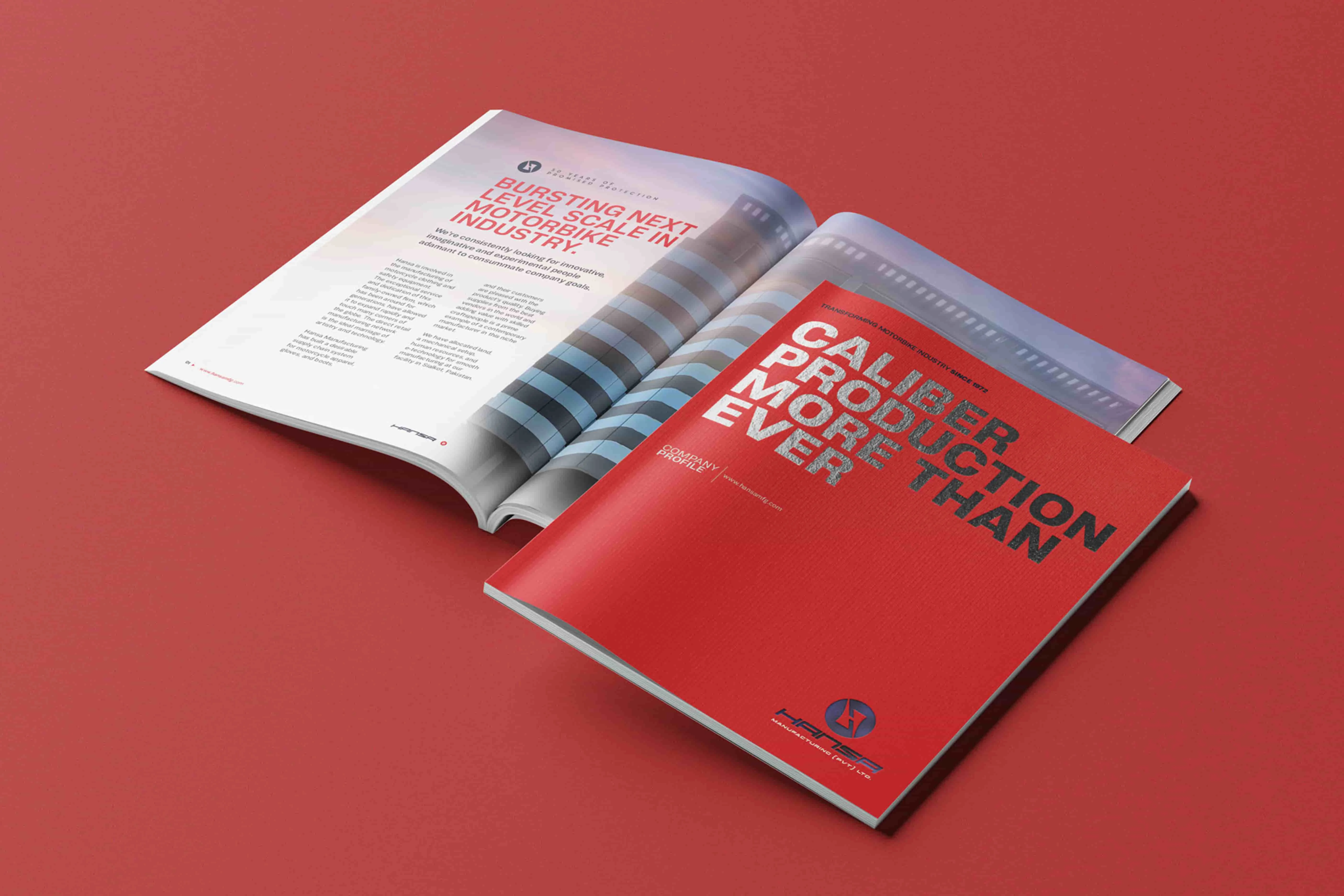 Hansa | Company Profile and Brochure