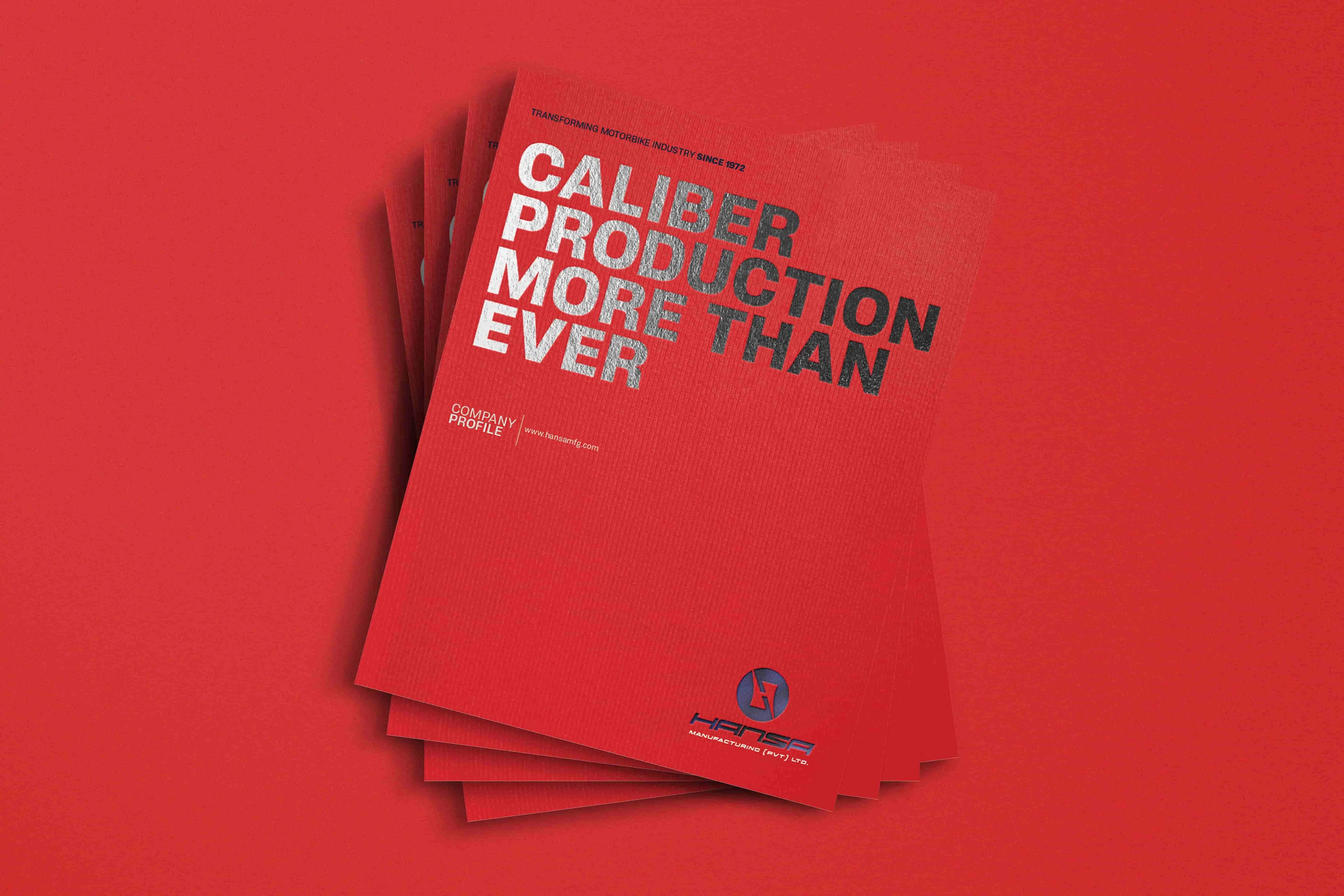 Hansa | Company Profile and Brochure