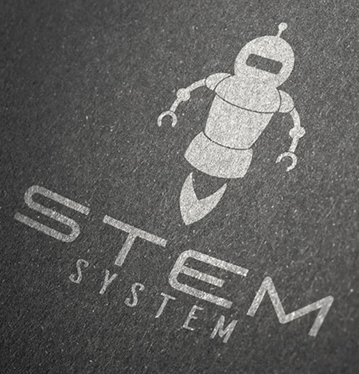 STEM | Education System